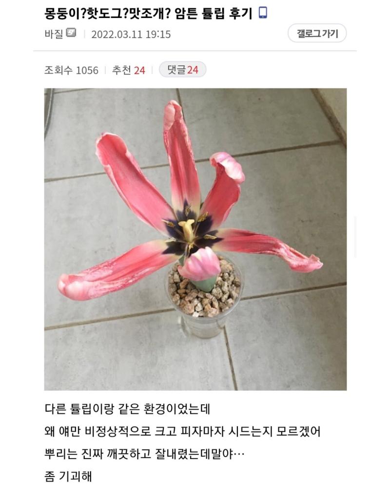 >>9 최종진화본