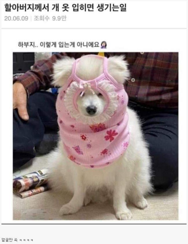 할아버지가 개옷 입히면 생기는 일