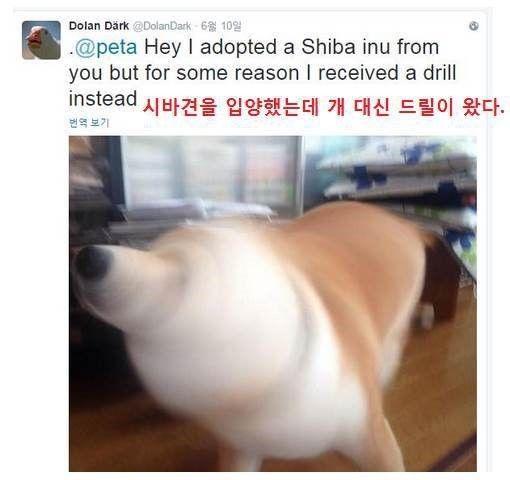 시바드릴