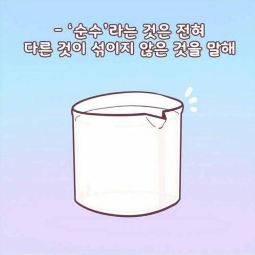 순수? 이런 의미인가?