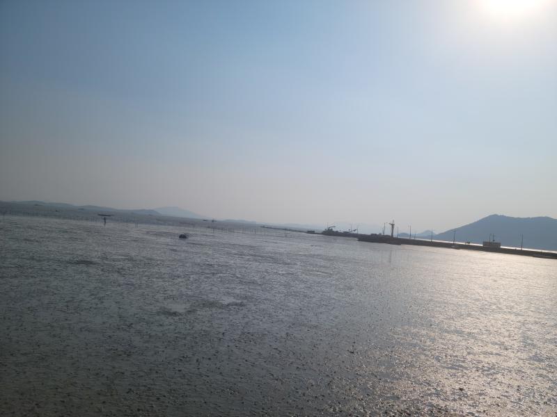 덕분에 재밌게 놀았습니다 뻐꾸기들도 가끔은 일탈을 즐겨보아 나는 내가 쉬면 자꾸 삐끗 삐끗거리길래 평생 쳇바퀴 굴리면서 살아야할 줄 알았는데 또