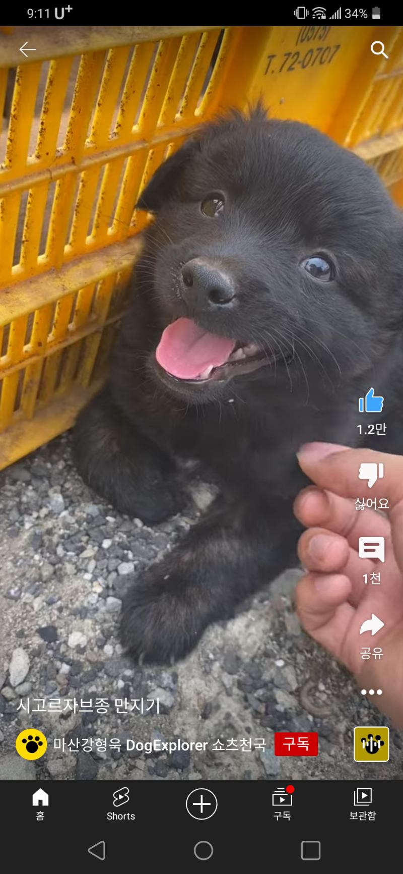 https://youtube.com/shorts/13vox9sl524?feature=share 카페나 커뮤니티에 올릴까 하기엔 너무 뻘글이라 망
