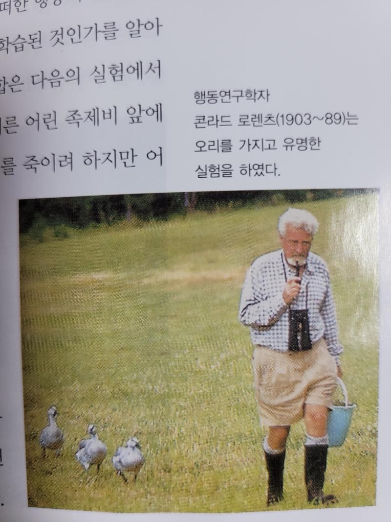 솔직히 나는 이 책이 말하는 바에 다 동의하지 못하겠어서 그만 읽을까 고민했는데.. 간간히 나오는 사진들이 이 책을 계속 읽게 함 콘라드 로렌츠