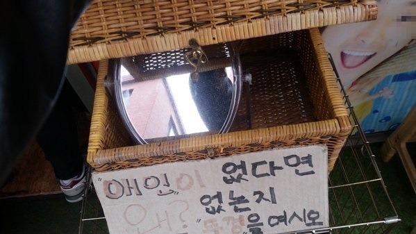 애인이 왜 없는지 알려주는 상자