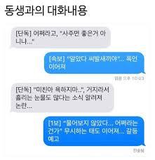 뉴스속보 말투
