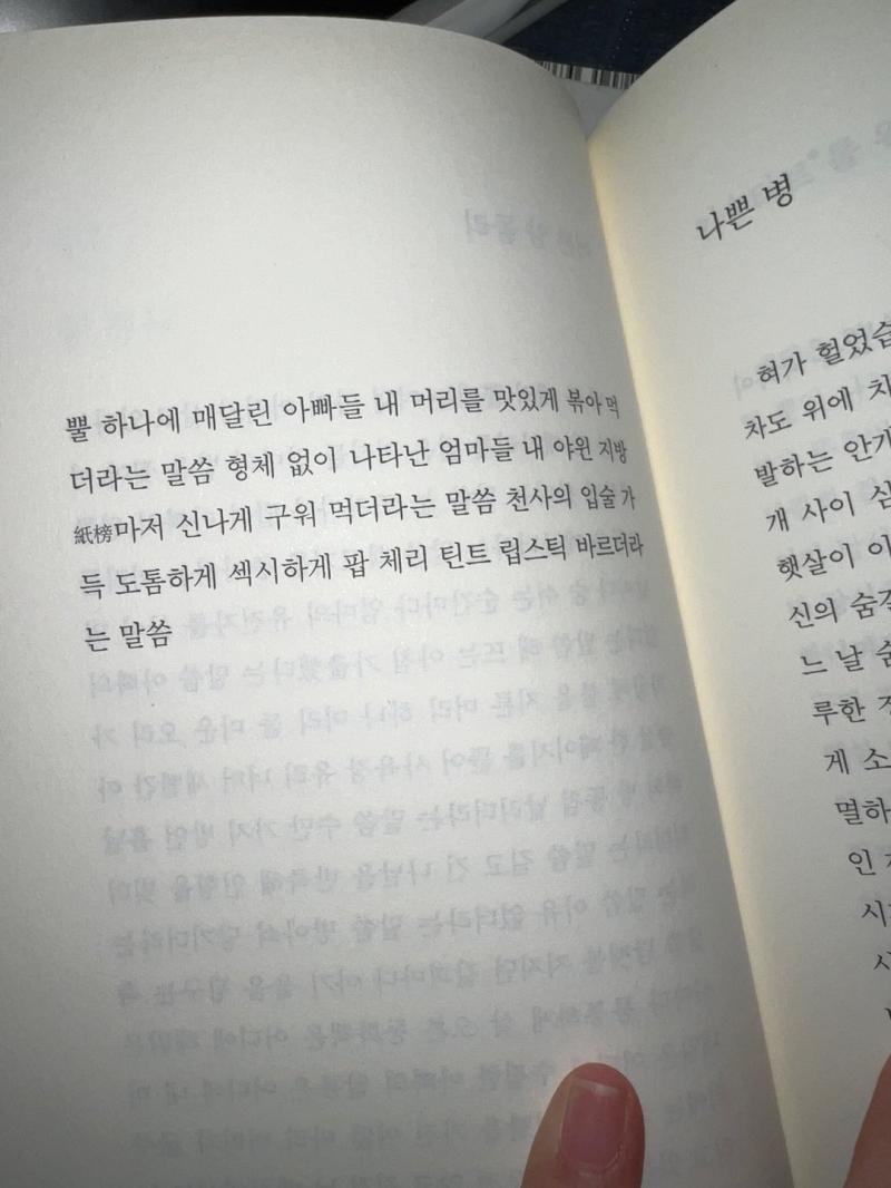 이 시집 뭐지