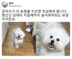 그리고 이런 표정 지으면서 나감. 아빠!!! 나가자!!! 이럼서 나감.