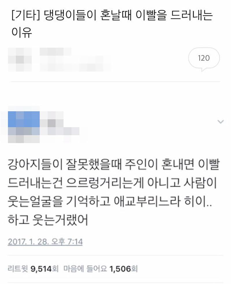 댕댕이가 이빨을 드러내는 이유
