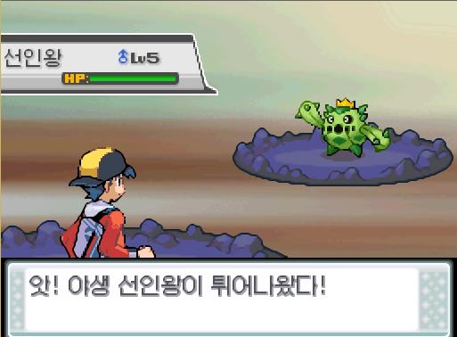 연가람을 빌런트를 집어넣고 피카츄를 꺼냈다. 연가람은 피카츄에게 말을 걸어보았다. "......" 피카츄는 아무것도 없는 곳을 가만히 바라보고