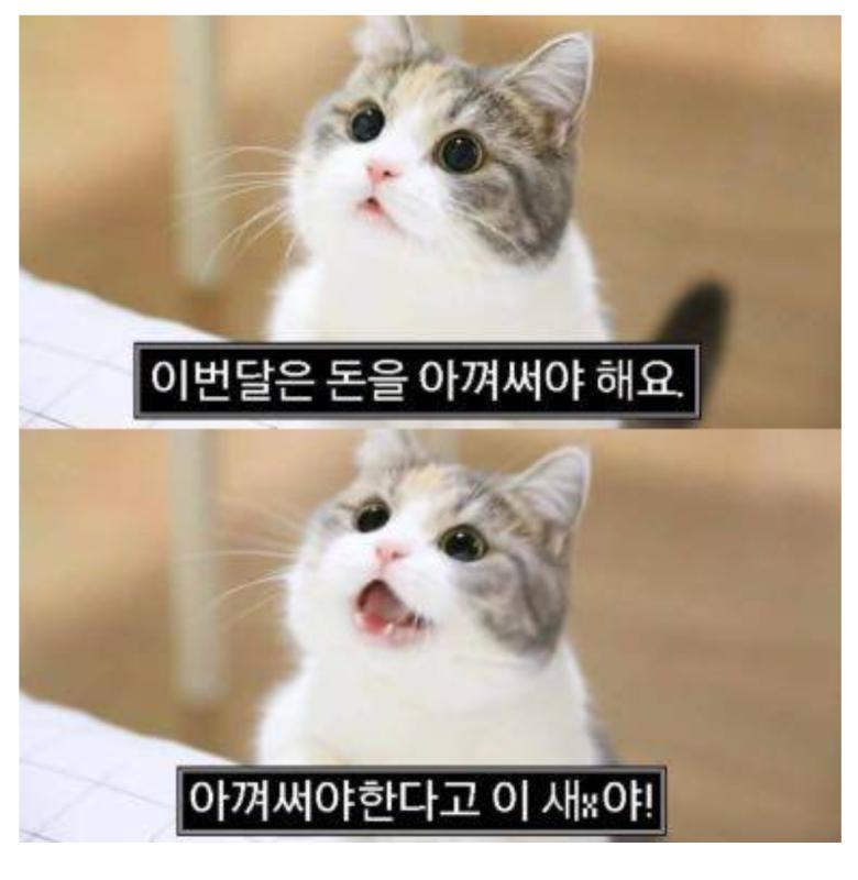 5월달에 쓸데없는 지출이 많았다. 기름값도 많이 올라서 차량 주유비만해도 2배가까이 지출이 늘었는데 그것도 모잘라서 폭주하듯이 간식에 쉬는날마다
