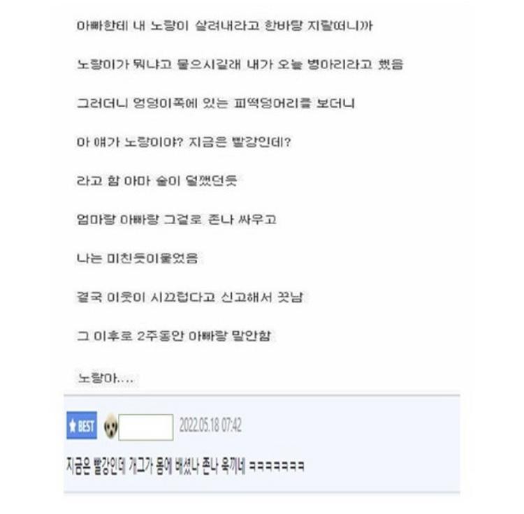 대충 내용은 이래 이게 맞나 싶다