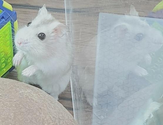 술래가 누구일까.. 나다.. 이래놓고 찾아달라고 하는 극악의 난이도. 그래도 시늉은 해야하니까 어디갔지? 하면 마음이 왜 급한지 모르겠지만 스스