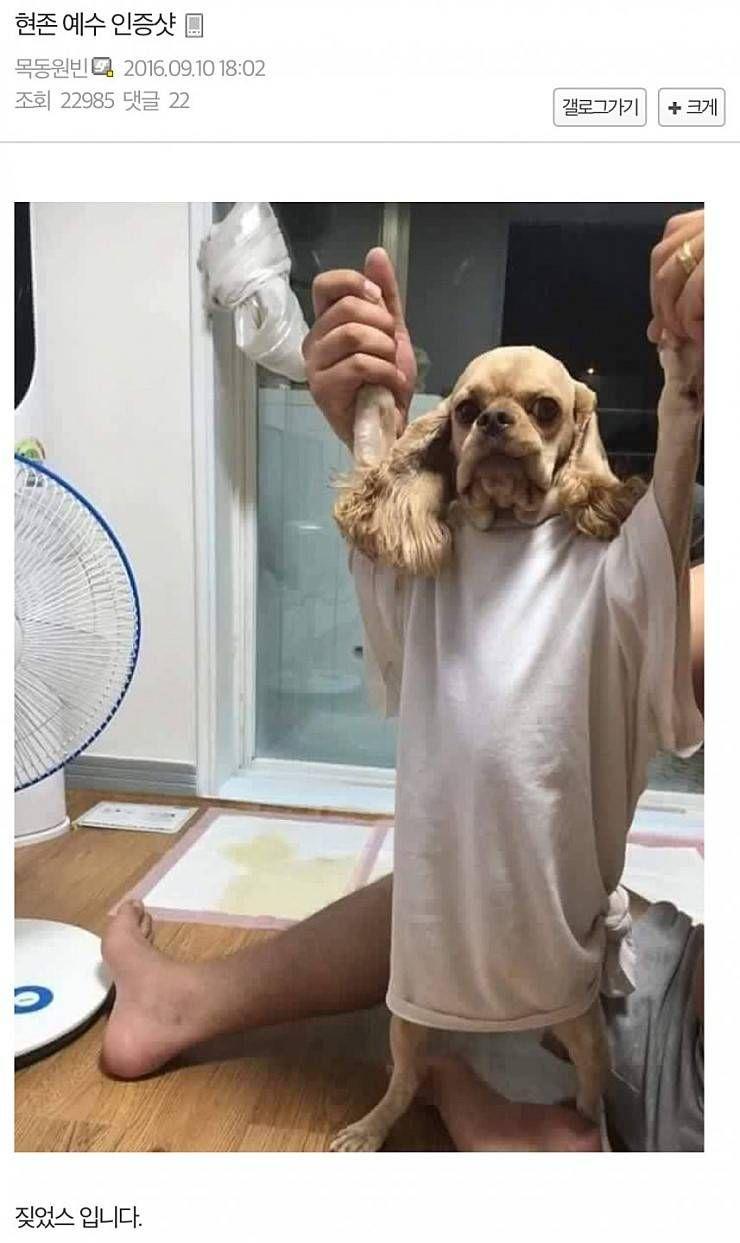 지저스