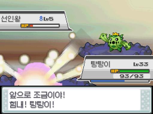 피카츄! 좋아! 돌아와! 앞으로 조금이야! 힘내! 탕탕이! 야생 선인왕의 고속이동! 야생 선인왕의 스피드가 크게 올라갔다! 탕탕이는 무엇을 할까