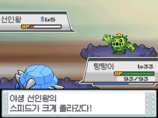 피카츄! 좋아! 돌아와! 앞으로 조금이야! 힘내! 탕탕이! 야생 선인왕의 고속이동! 야생 선인왕의 스피드가 크게 올라갔다! 탕탕이는 무엇을 할까