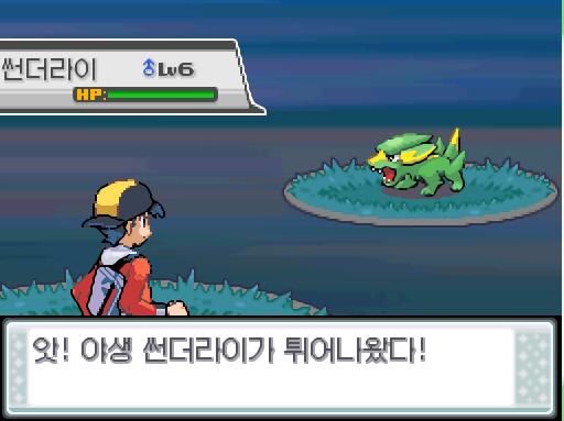 32번 도로에서 포켓몬과 만날 수 있는 횟수: 최대 3회/현재 1회 32번 도로에서 트레이너와 배틀할 수 있는 횟수: 최대 2회/현재 0회 32