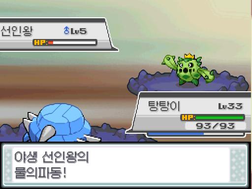 야생 선인왕의 물의 파동! 탕탕이의 강철날개! 야생 선인왕은 쓰러졌다!