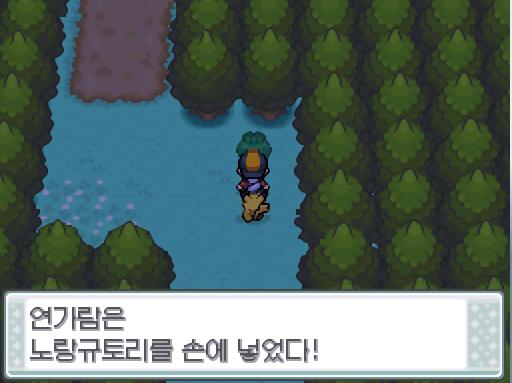 연가람은 알프의 유적을 나와 32번 도로로 왔다. 연가람은 32번 도로와 도라지시티의 경계선 쯤에 있는 규토리 나무에서 노랑 규토리를 손에 넣었