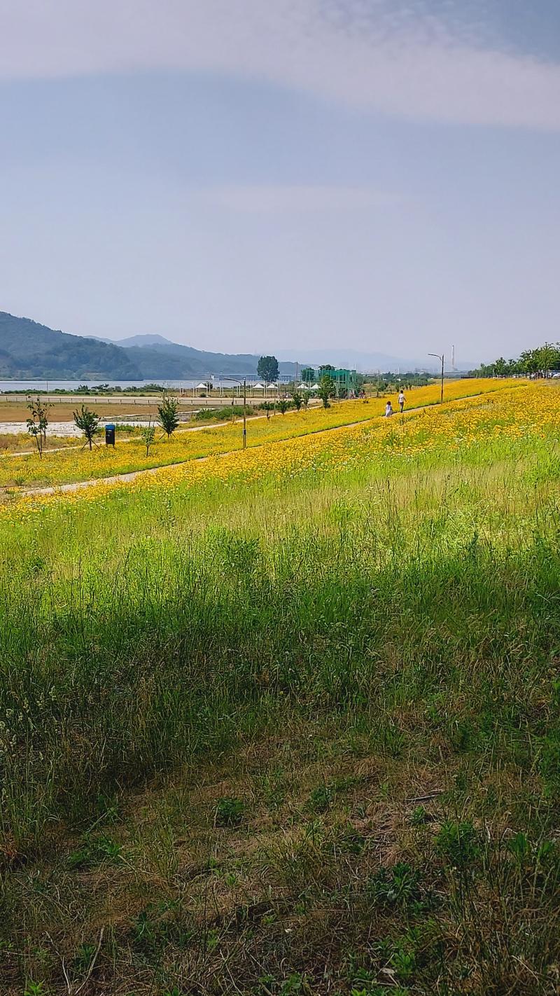 🌼 하늘창조