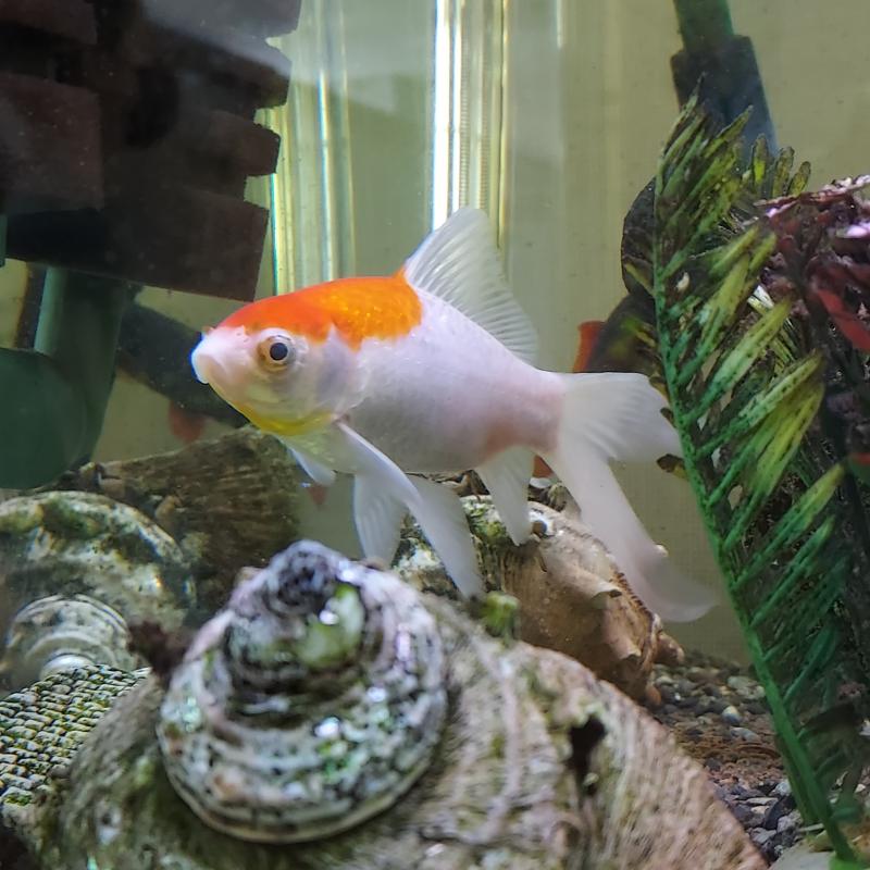 🏙 하늘이맑다. 건물도 같이 찍혔길래 적당히 지움 🐠 병원에 물고기가 있었다.