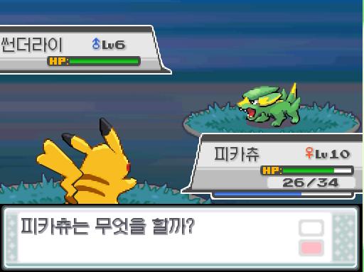 32번 도로에서 포켓몬과 만날 수 있는 횟수: 최대 3회/현재 1회 32번 도로에서 트레이너와 배틀할 수 있는 횟수: 최대 2회/현재 0회 32