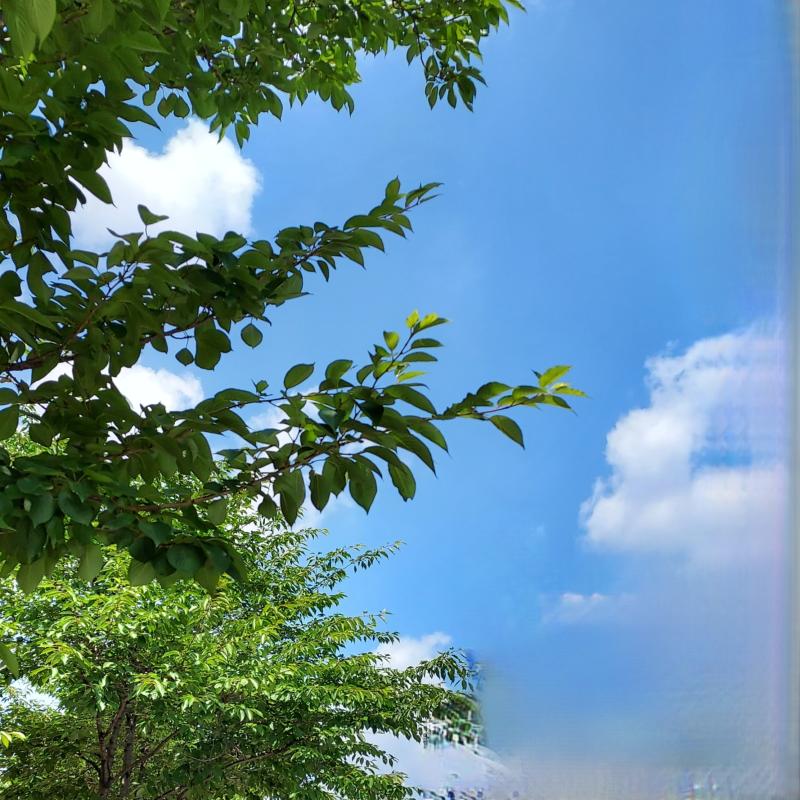 🏙 하늘이맑다. 건물도 같이 찍혔길래 적당히 지움 🐠 병원에 물고기가 있었다.