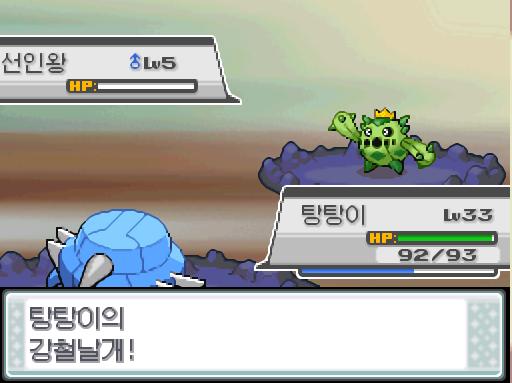 야생 선인왕의 물의 파동! 탕탕이의 강철날개! 야생 선인왕은 쓰러졌다!