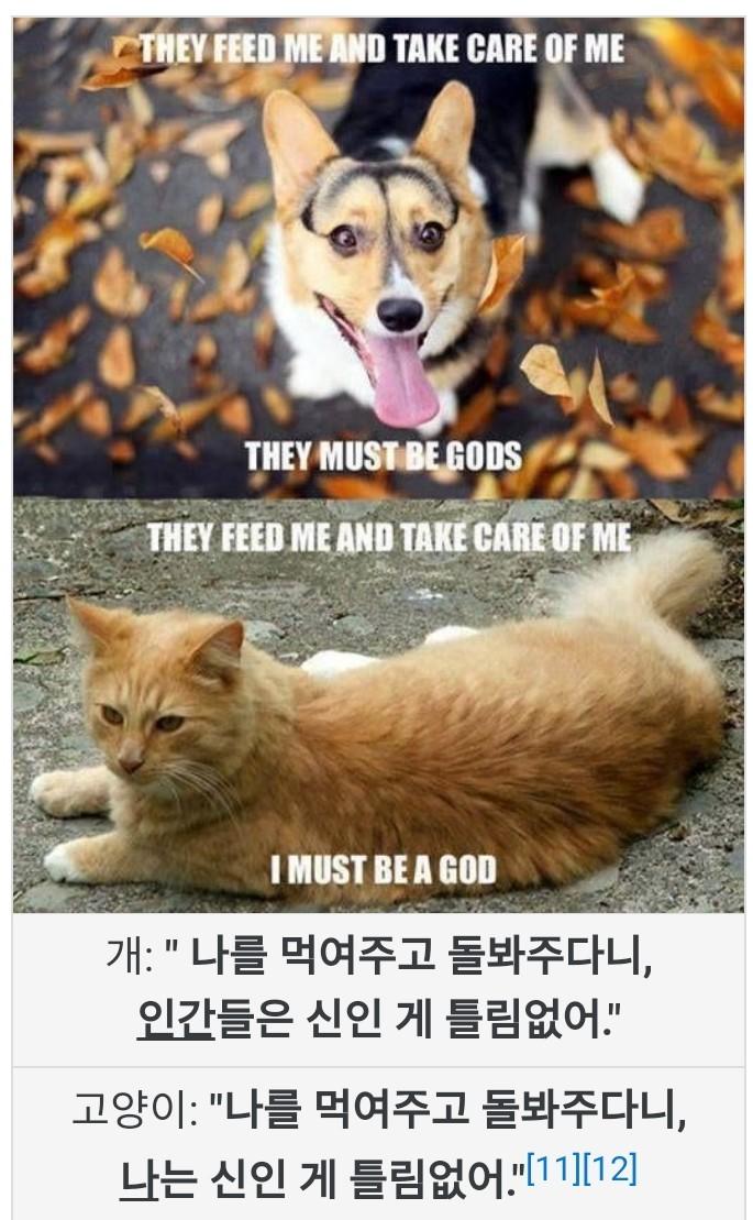 둘다귀여워