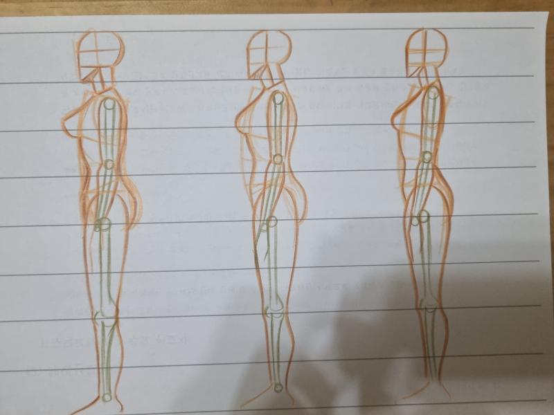 여자 정면이항 측면! 사실 이 연습이 다른 연습들보다 더 귀찮고 어려워...