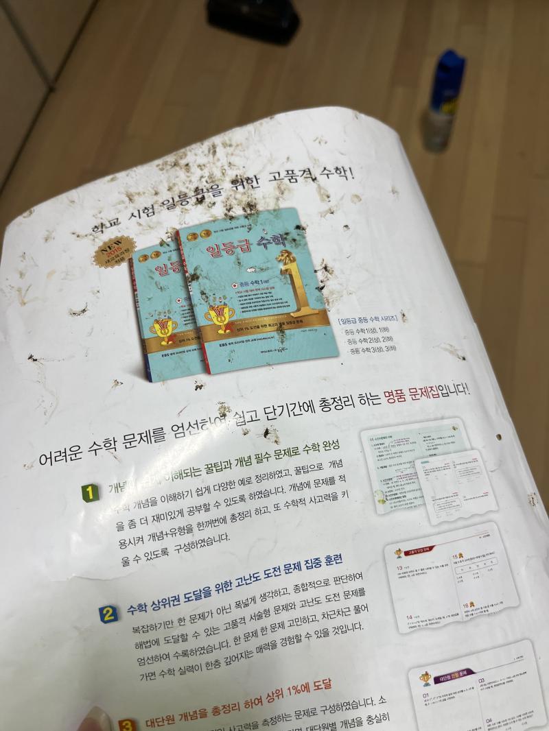 ‼️‼️‼️벌레 사체 혐오혐오혐오혐오 주의‼️‼️‼️ 하하하하하하하하 내가 이겼지?????????????? 내가 이겼지??????????????