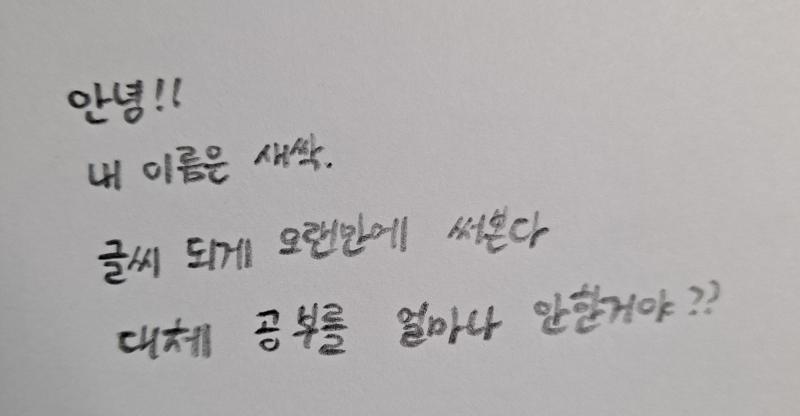 2022.06.29 Q. 멧새 여러분의 글씨체는 어떤가요? A.