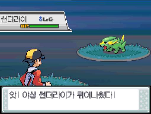 32번 도로에서 포켓몬과 만날 수 있는 횟수: 최대 3회/현재 2회 32번 도로에서 트레이너와 배틀할 수 있는 횟수: 최대 2회/현재 2회 32