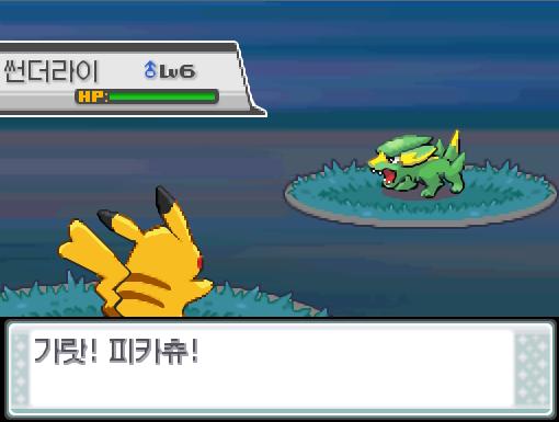 32번 도로에서 포켓몬과 만날 수 있는 횟수: 최대 3회/현재 2회 32번 도로에서 트레이너와 배틀할 수 있는 횟수: 최대 2회/현재 2회 32