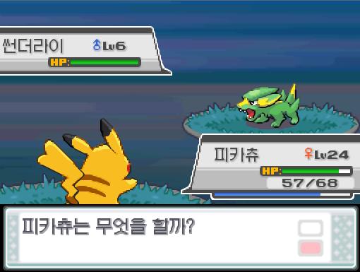 32번 도로에서 포켓몬과 만날 수 있는 횟수: 최대 3회/현재 2회 32번 도로에서 트레이너와 배틀할 수 있는 횟수: 최대 2회/현재 2회 32
