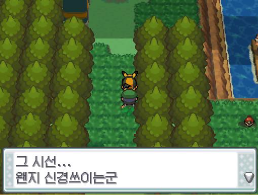 "나는 내가 좋아하는 포켓몬으로 최강을 목표로 한다! 강한 포켓몬이라고 해도 남들과 같은 건 쓰지 않는다!" 정수의 말은 뒤로 하고 연가람은 처