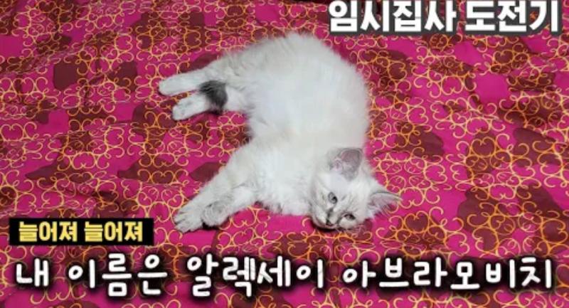 https://youtu.be/5dfEfIRxf34 레주 이거 봤어? 러시아 본토에선 알렉셰이라는 이름을 줄여서 애칭으로 "사샤" 라고 부른대!