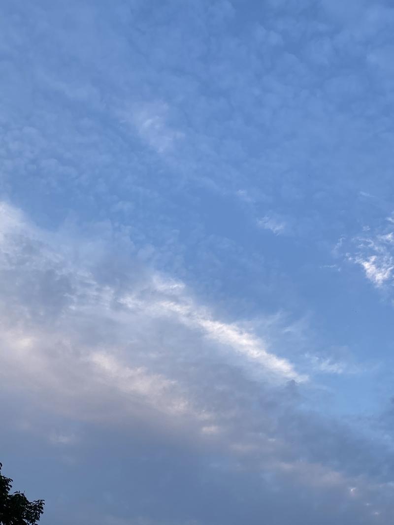 운동하러 나갔는데 하늘이 예뻐서 사진을 찍었다 밤에 홈트 할지 안할지 모르겠는데 홈트 하면 또 기록할게 내일부터는 식단조절도 해야겠다