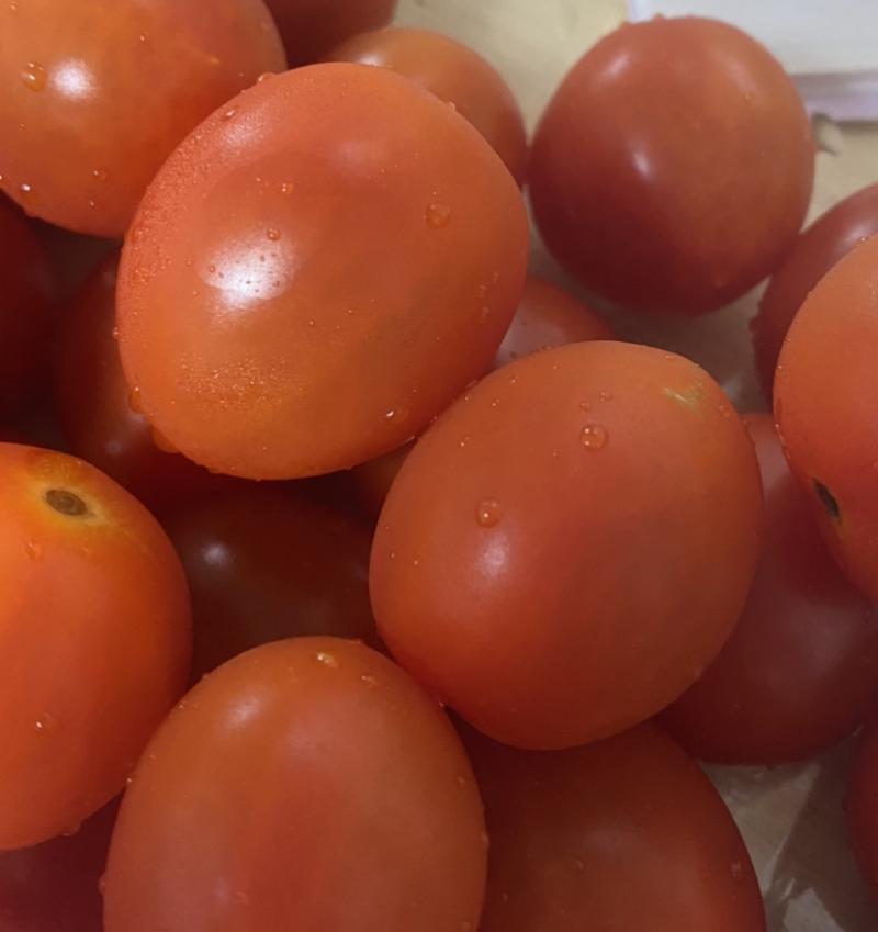방울토마토 존맛이다 ㄹㅇ 저녁은 사실 알바하는 곳 근처 만두집 사장님이 선물로 주신 거 대충 주워먹은 거라 지금 배고파 죽겟는데 밥 먹기는 양심