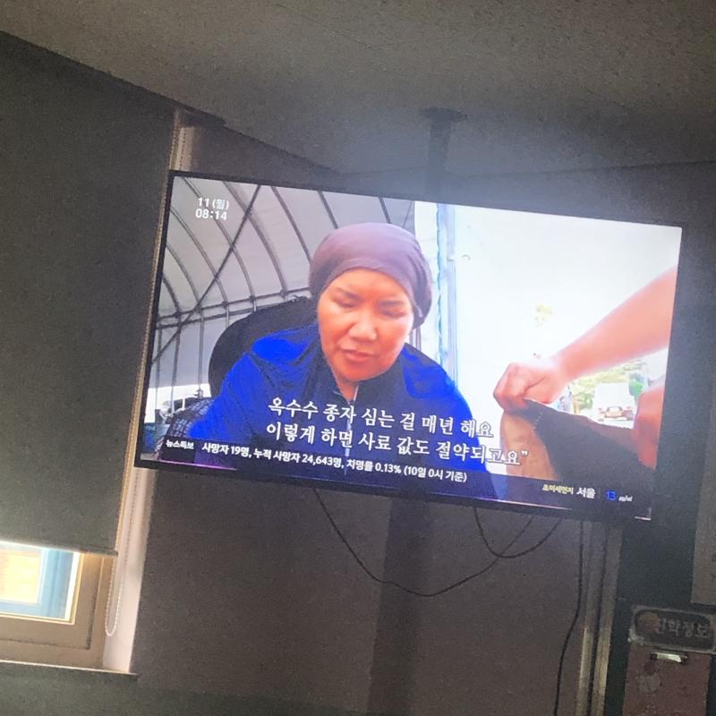 학교일찍와서 빙수만들고인간극장보기