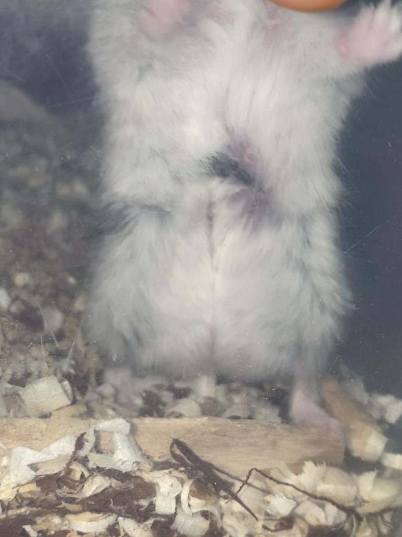 이렇게 되있어