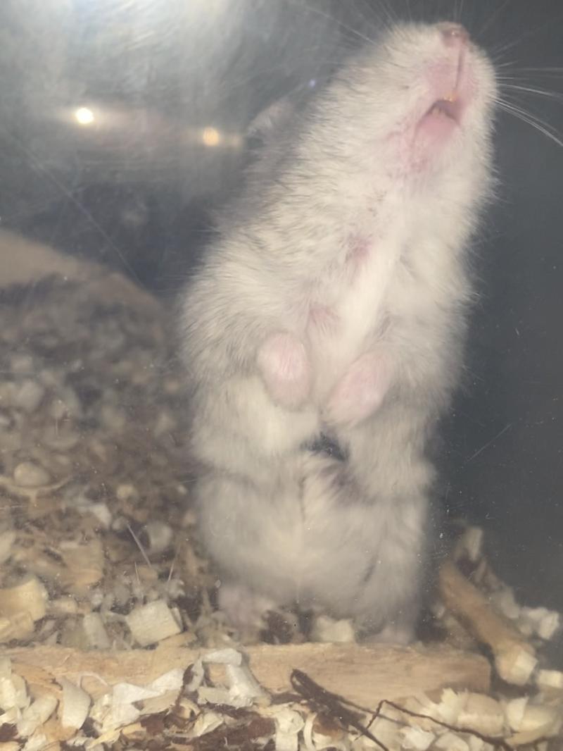 이렇게 되있어