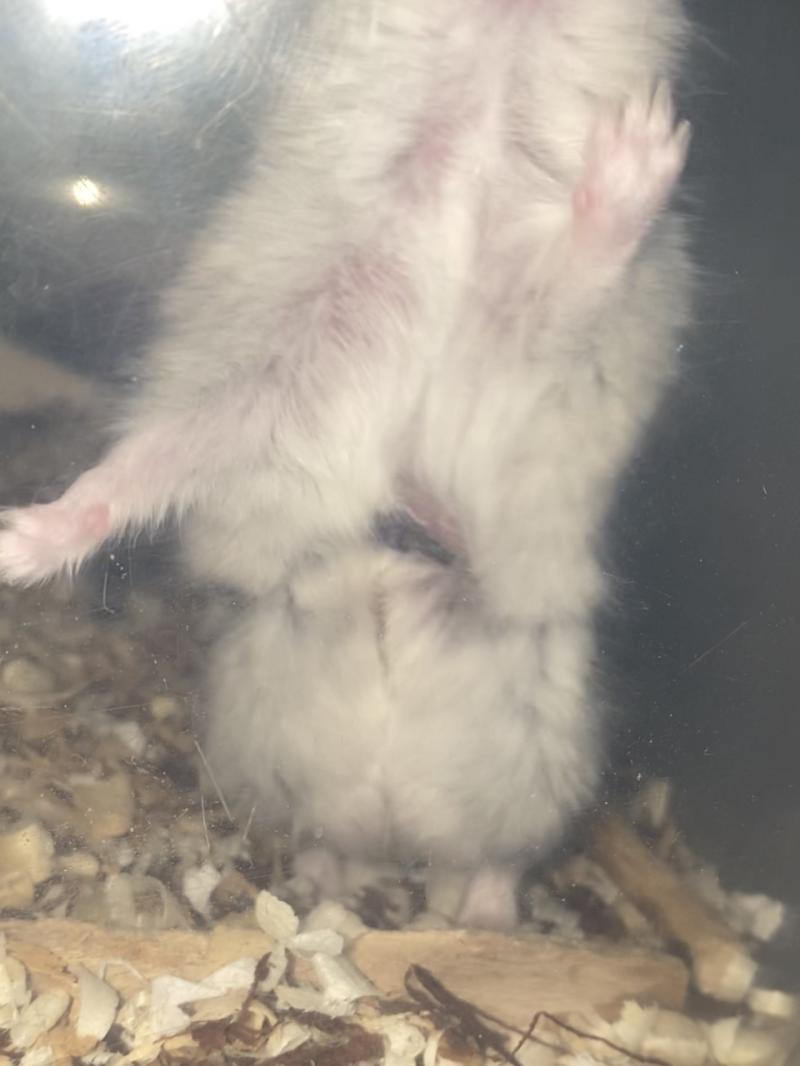 이거봐...