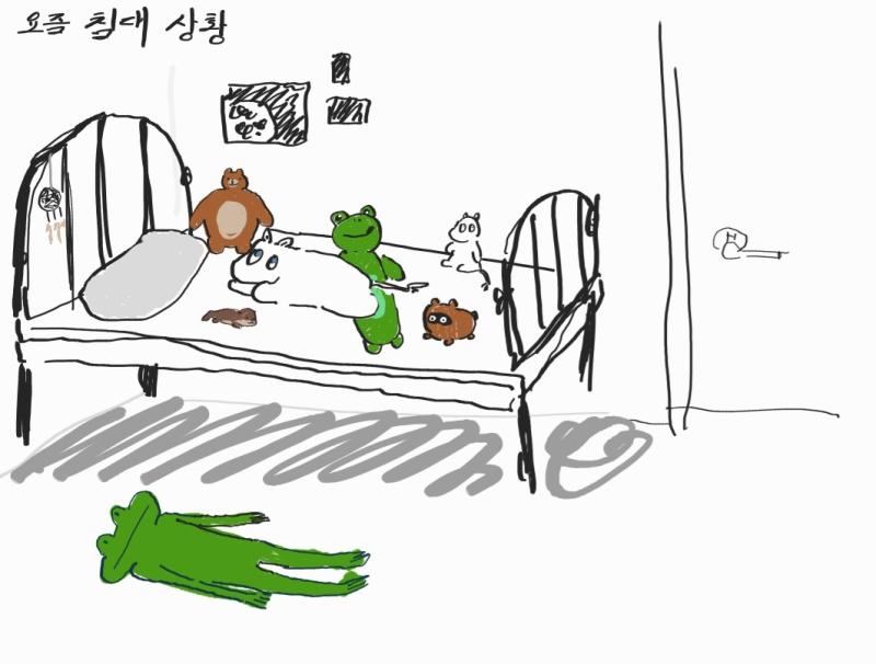 인형이 너무 많아진 탓에 침대가 더이상 내 공간이 아니게 되어버렸어..