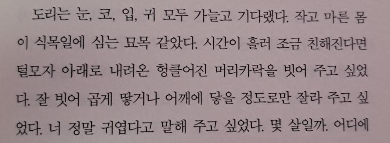 해지곳 완독 애들 죽은 걸까 그냥 행복해라...