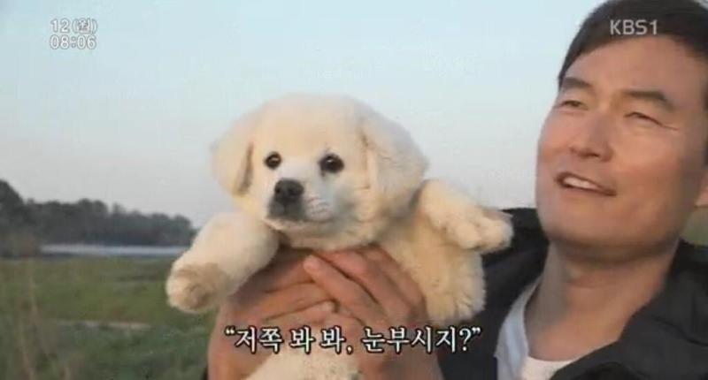 귀여워