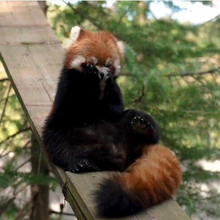 난 최근 렛서펜더에 꽂혀있어 이 치명적인 뒷테가 너무 좋아..