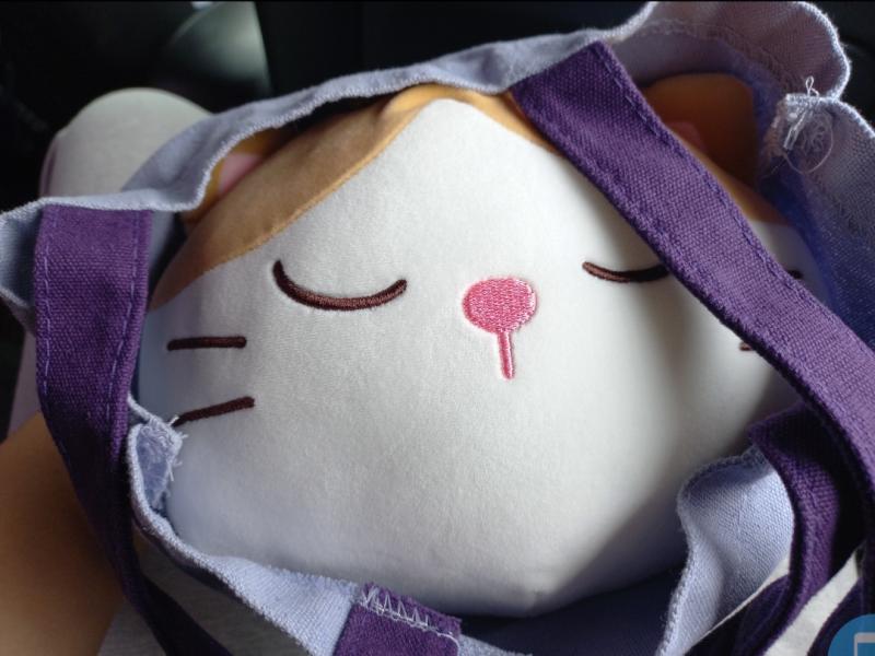 귀여워