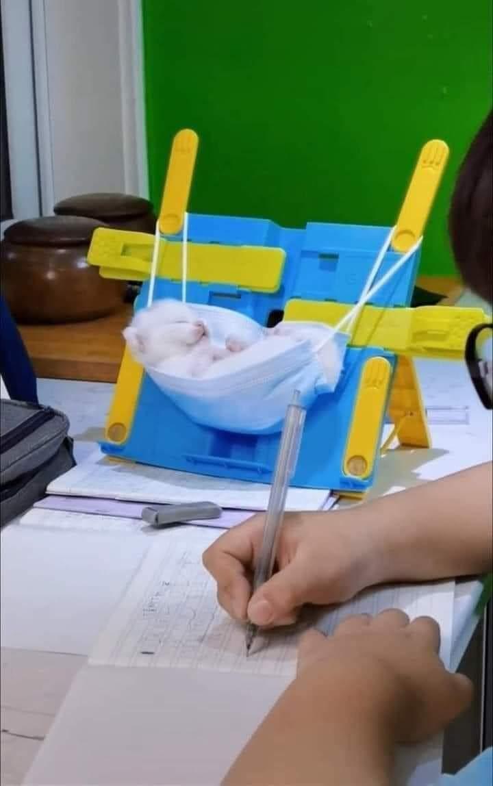 얘기를 해달라고 하지만 난 사진을 올리겠어 내 갤러리 털어왔다