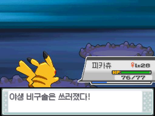 피카츄의 스파크! 효과가 굉장했다! 야생 비구술은 쓰러졌다! 피카츄는 1728 경험치를 얻었다!