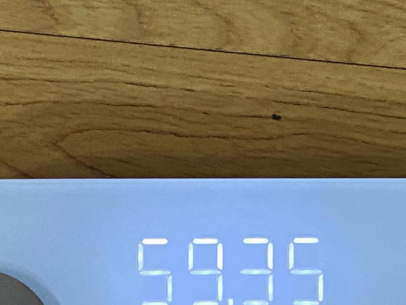 밥 먹고 잰 몸무게 아침 공복 했어야 하는데 까먹음 보통 먹은 밥 양만큼 차이가 나는건가??? 그리고 어제 식단